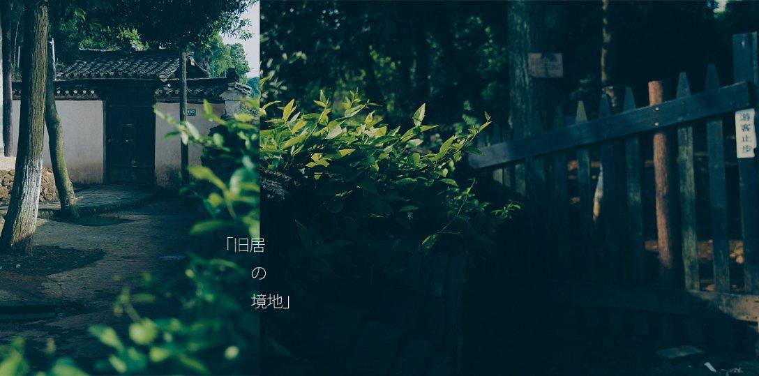 月光影视