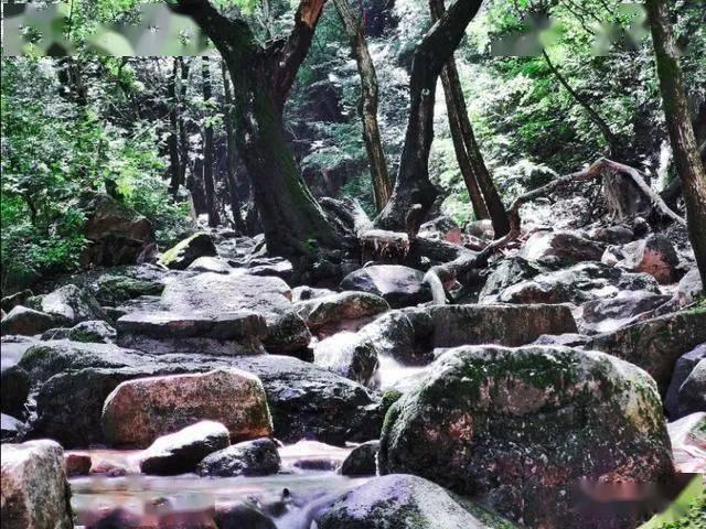 哈尔滨哈药六厂版画博物馆开放,游客排队参观