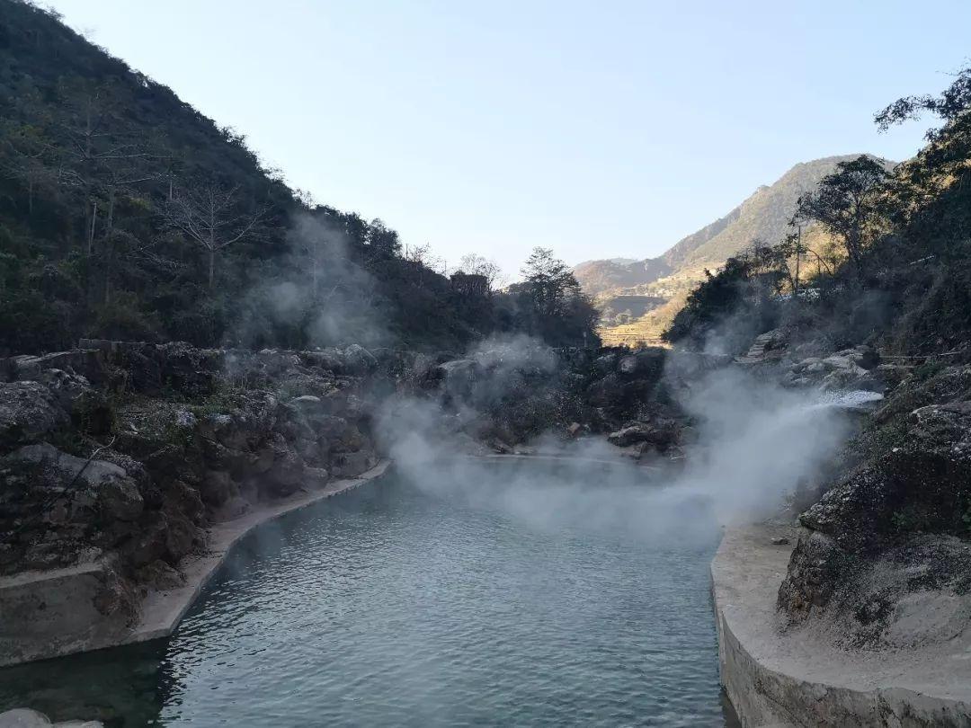 正宗水煎包的和面做法知识星球,探索无限聪明智慧