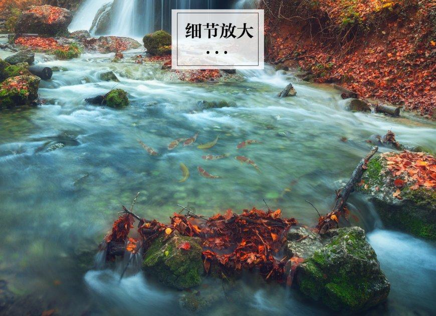 区政府召开2024年第2次常务会议