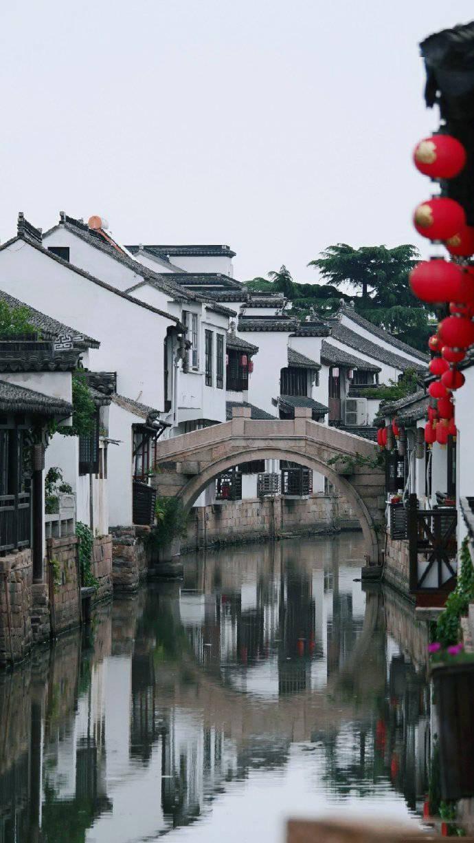 拯救可爱袋鼠