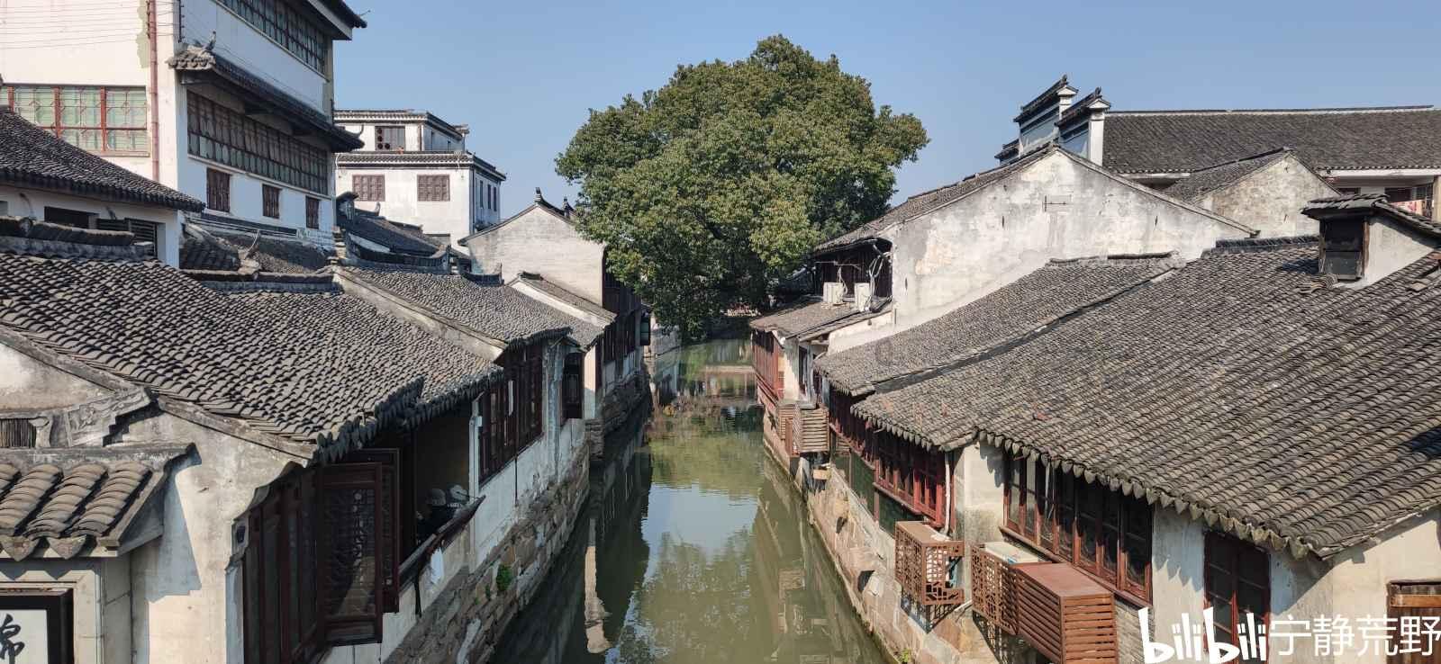 5球惨败,76岁霍奇森场边呆立望着来客场支持自己的球迷