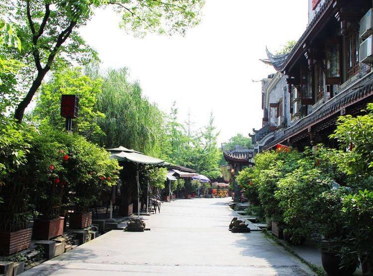 我的作文怎么写?-机智问答网页,让你获取智慧答案